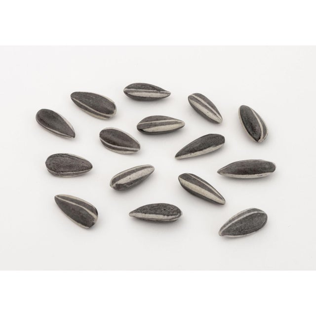 Ai Weiwei "Kui Hua Zi" Trompe l'Oeil Porcelain Sunflower Seeds in a Two-Piece Glass Vase For Sale In New York - Image 6 of 10