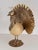 Metal Vintage Italian Brass and Ostrich Egg Bird Sculpture by Antonio Pavia, 1970s For Sale - Image 7 of 12