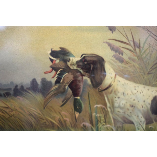 Hunting Dog W/ Waterfowl Chromolithograph in Faux Bois Frame For Sale - Image 4 of 4