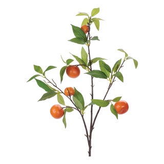 Orange Fruit Foliage Branch (Set of 6) For Sale