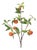 Orange Fruit Foliage Branch (Set of 6) For Sale