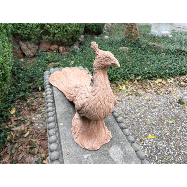 Vintage Italian Terracotta Peacock Sculpture For Sale - Image 10 of 12