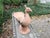 Vintage Italian Terracotta Peacock Sculpture For Sale - Image 10 of 12
