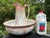 Antique Crown Devon Victorian/Edwardian Art Nouveau Fine English Porcelain Pitcher and Washbowl Set For Sale In Providence - Image 6 of 14