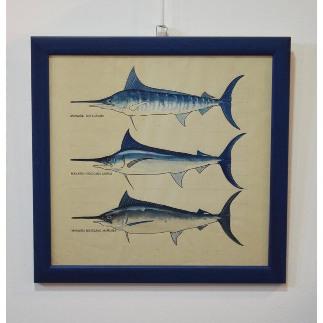 After Walter Stackpool, Marlin, 1970s, Gouache on Paper, Framed For Sale - Image 3 of 9