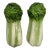 Midcentury Ceramic Lettuce Salt & Pepper Shakers- A Pair For Sale