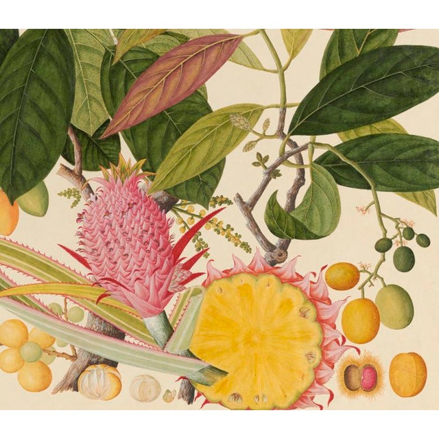 Golden Tropic Botanicals #8/22. beautifully reproduced as giclée prints using archival inks on imported English cotton rag...