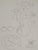 Henri Matisse (1869-1954) (after) The Flowering Carafe Lithograph after a drawing by the artist Signed in the plate On...