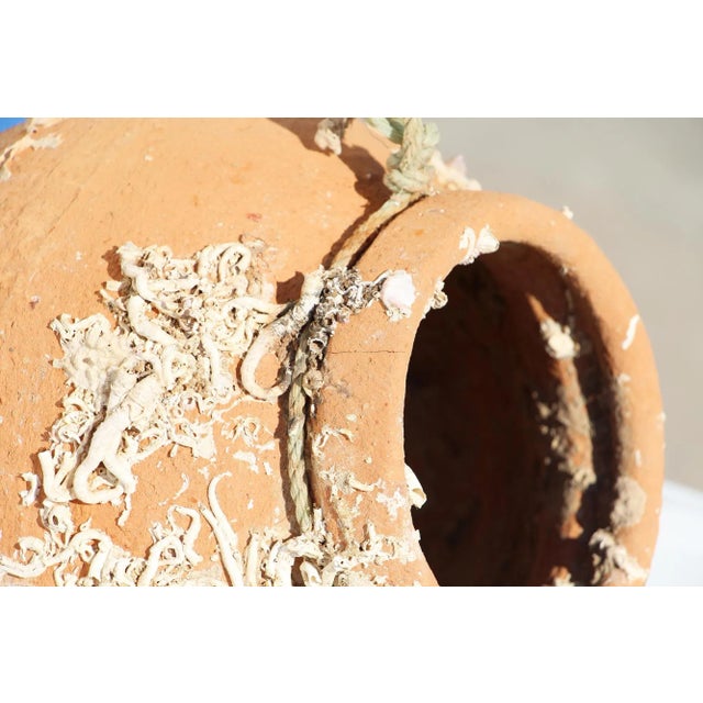 19th Century Antique Terracotta Octopus Trap Undersea Pot For Sale - Image 11 of 13