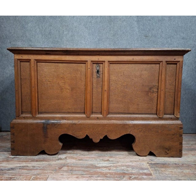 18th Century Rustic Oak Chest with Molded Panels For Sale - Image 11 of 11