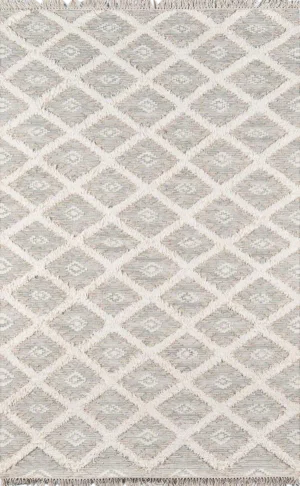 Harper Grey Hand Woven Area Rug 2' X 3'
