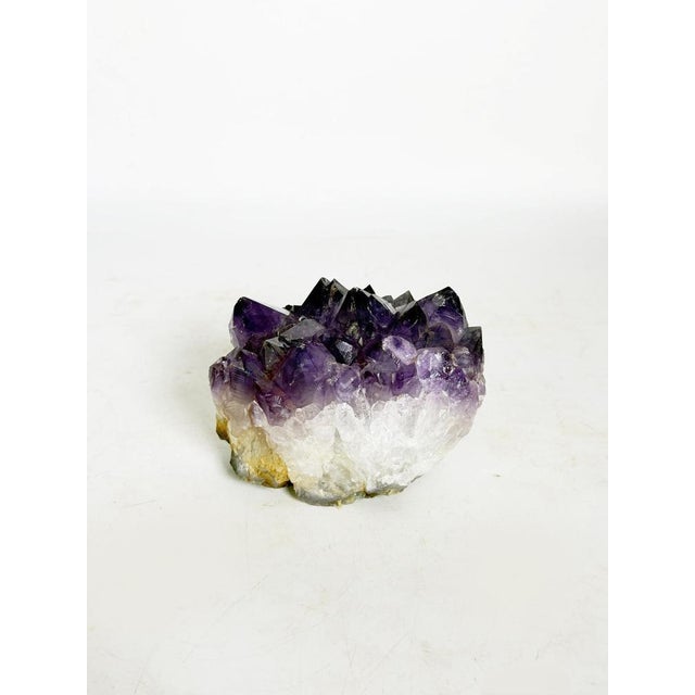20th Century Press Paper in Amethyst, France For Sale - Image 4 of 9