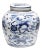 Chinese Blue and White Jar with Mythical Fu Lions For Sale