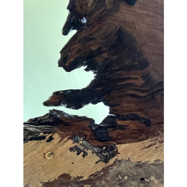 1960s Monumental 3-Inch Old-Growth Redwood Slab Coffee Table For Sale - Image 12 of 12