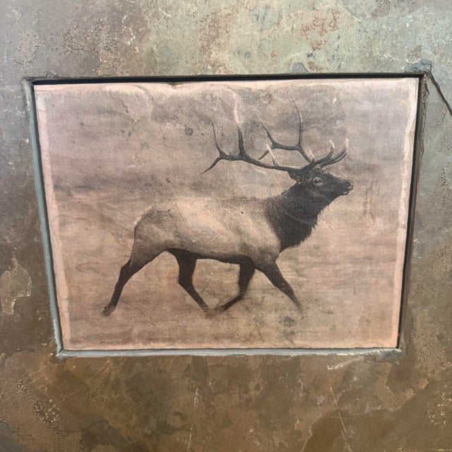 Greige Shlomo Shuval Sierra Slate Images Bison & Elk Wildlife Wall Art – Pair For Sale - Image 8 of 11