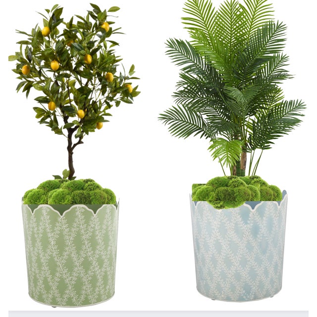 *Lead time is 1-2 weeks; however, depending on vendor's stock-levels, the item may be 'ready to ship' and arrive within...