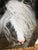 2010s Terry Kirkland Cook Bombshell a Gypsy Vanner Acrylic Print For Sale - Image 5 of 12
