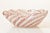 Zanfirico Bowl by Archimede Seguso for Seguso Vetri d'Arte, Italy, 1940s For Sale - Image 6 of 12