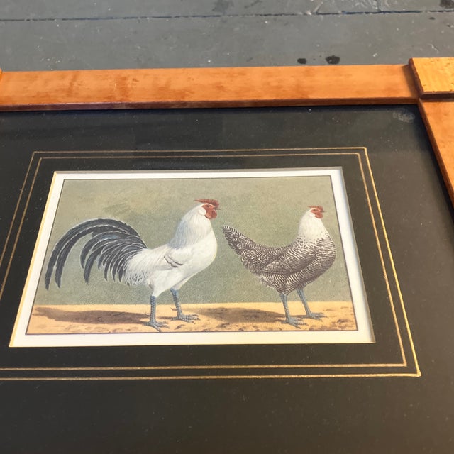 Rustic 1980’s 2 Vintage Rooster & Hen Prints Finished Corner Maple Frames-a Pair For Sale - Image 3 of 4