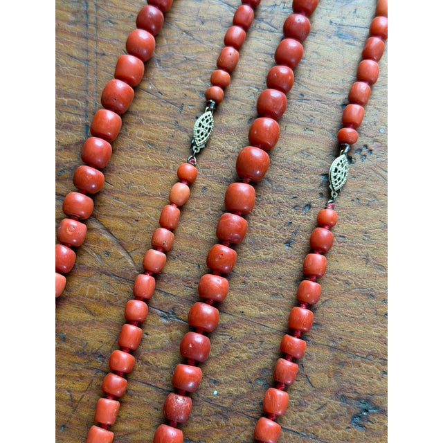 Genuine Red Coral Necklaces, Hand-Knotted Strands in Natural Coloration, a Pair For Sale - Image 9 of 15