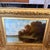 Late 19th Century Wesley Webber Original Oil Painting For Sale In West Palm - Image 6 of 12