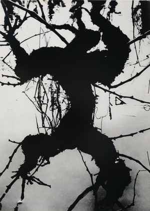 Lucien Clergue, Secret Camargue, 1960, Heliogravure