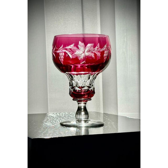 Vintage Vignes Ruby Crystal Wine Goblets from Val Saint Lambert, 1950, Set of 10 For Sale - Image 12 of 18