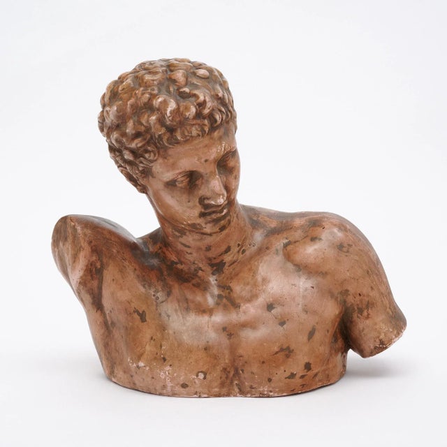 Large French bust made of terracotta with the original patina. This piece is in excellent vintage condition – the photos...