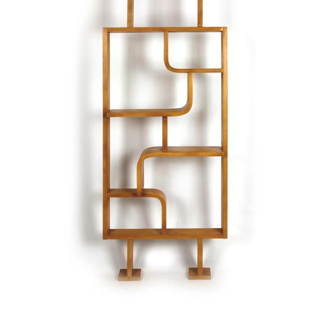 Mid-Century Room Divider attributed to Ludvik Volak for Drevopodnik Holesov, 1960s For Sale - Image 14 of 16