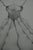 Gochka Charewicz Vegetal Tower Original lithograph Signed in pencil Limited edition of 29 (the number shown in the...