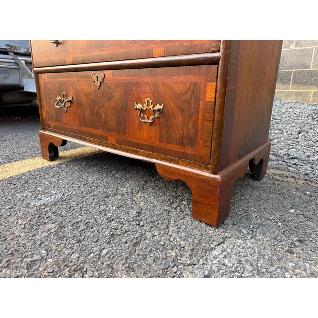 Antique Georgian Style Burr Walnut Chest of Drawers For Sale - Image 11 of 17