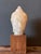 Fine Large Rock Crystal Hand Carved Head of Buddha on the Wood Base For Sale - Image 14 of 15