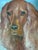 Rustic European Vintage Original Dog Portrait Oil Painting, Signed Animal Art For Sale - Image 3 of 18