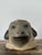Vintage Painted Ram Bust For Sale - Image 14 of 18