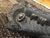 Large Vintage Bamileke West African Carved Mask For Sale - Image 4 of 10