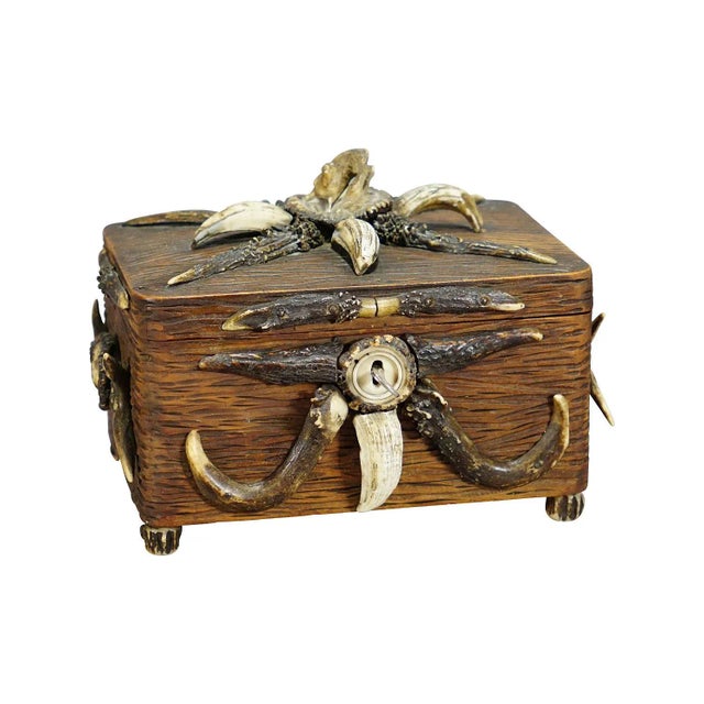 Brown Wooden Black Forest Casket With Antlers Decoration Circa 1900s For Sale - Image 8 of 8