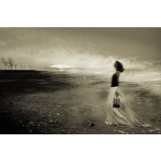 Wishing to Fly Photograph For Sale