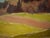 Alpine Landscape, 1940s, Oil on Canvas For Sale - Image 13 of 17