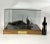 Deep Water Diorama of the Galapagos Expedition For Sale - Image 11 of 12