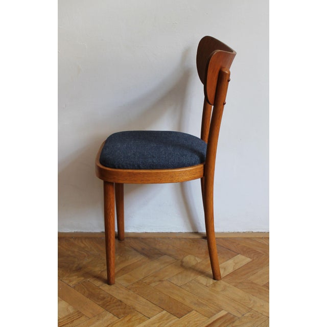 1960s Czech Beech Dining Chair by Up Rousínov from Up Závody, 1960s For Sale - Image 5 of 17