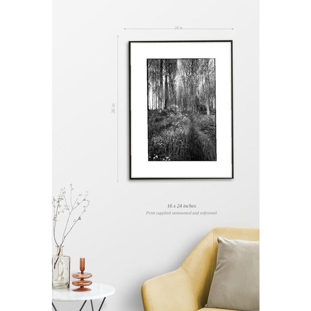 Fine art Giclee prints on Hahnemuhle Photo Rag 308gsm - a 100% cotton, acid-free, mould-made paper. Printed to Fine Art...