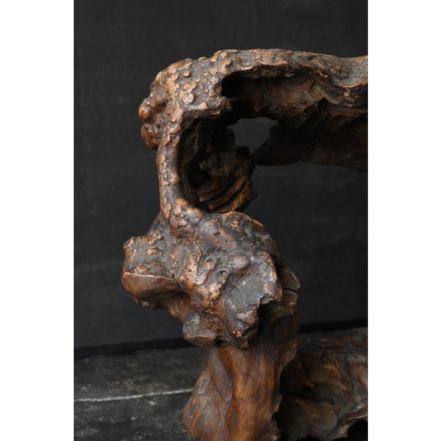 Early 20th Century Antique Japanese Burl Wood Display Stand / Meiji-Showa / Organic One-of-a-Kind For Sale - Image 5 of 18