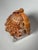 Plastic Coastal Red Helmet Tabletop Shell With Lucite Stand For Sale - Image 7 of 11