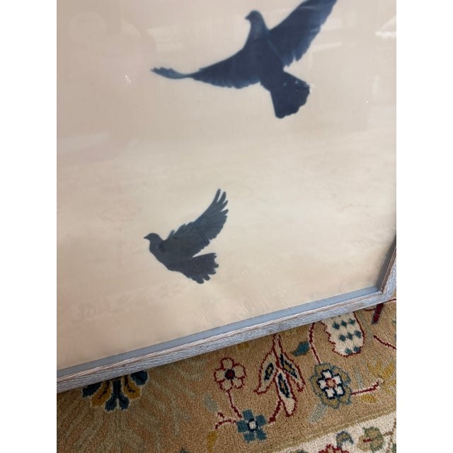 Restoration Hardware Restoration Hardware Teen Birds in Flight Vellum Print, Framed For Sale - Image 4 of 12