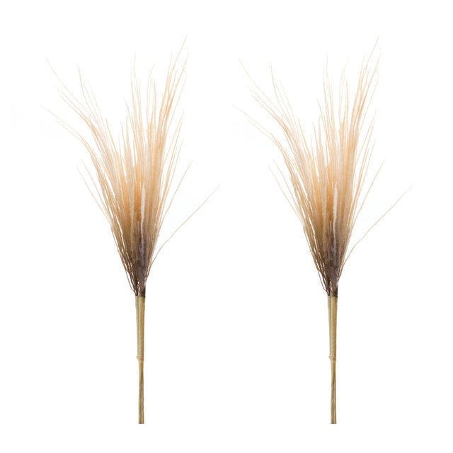 Rustic Grass Plume Bundle (Set of 2) For Sale - Image 3 of 3
