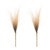 Rustic Grass Plume Bundle (Set of 2) For Sale - Image 3 of 3