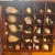 Seashell Collection in Glass-Front Display Case For Sale - Image 9 of 12