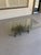 Daniel Gluck Vintage Sculptural "Starburst" Made of Bronze by Daniel Gluck For Sale - Image 4 of 8