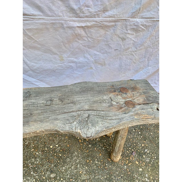 19th Century French Pine Live Edge Bench For Sale - Image 9 of 12