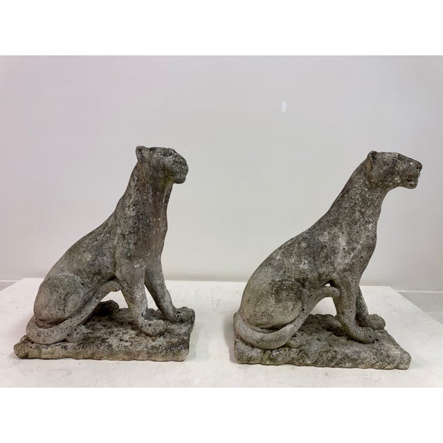 Large Panthers or Jaguars, 1960s, Weathered Stone, Set of 2 For Sale - Image 13 of 17